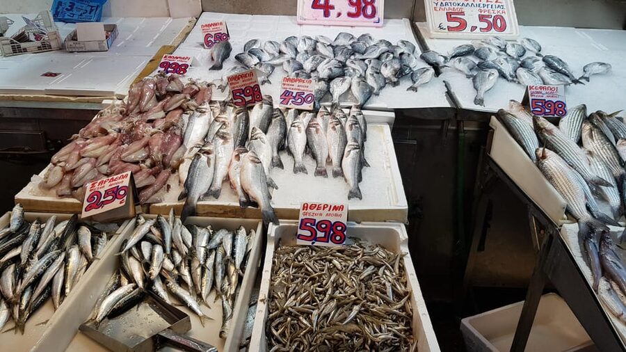 Athens: Traditional Greek food tour in hidden spots - Price and Value: Is $64 Worth It in Athens?