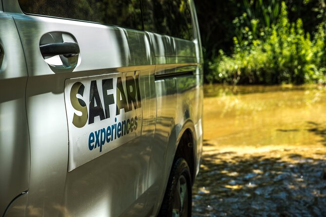 Athens West 4x4 Blue Lagoon Safari Adventure - Pine Forest and the Lighthouse of Melagavi