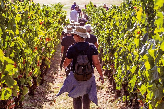 Athens Wine Tour - An Outstanding Full Day Experience For Dedicated Winelovers - Key highlights worth planning around