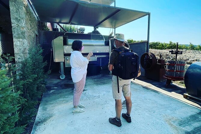 Athens Wine Tour with Wine Expert - Athens to Attica vineyards: what makes this wine day work