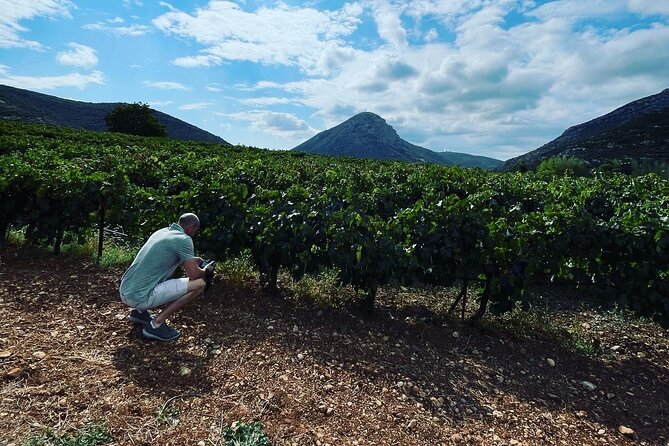 Athens Wine Tour with Wine Expert - Getting picked up at 10:00 and staying relaxed all day