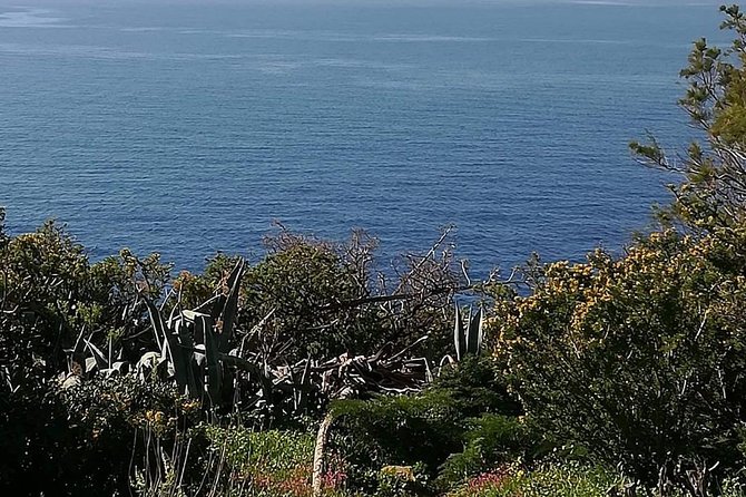 Cape Sounio and Temple of Poseidon Half Day Private Tour - Price and logistics: what $279.26 per group really buys you