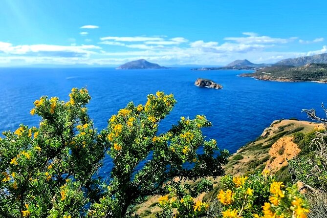 Cape Sounio and Temple Poseidon Tour with Swimming - Should you book it or skip it?