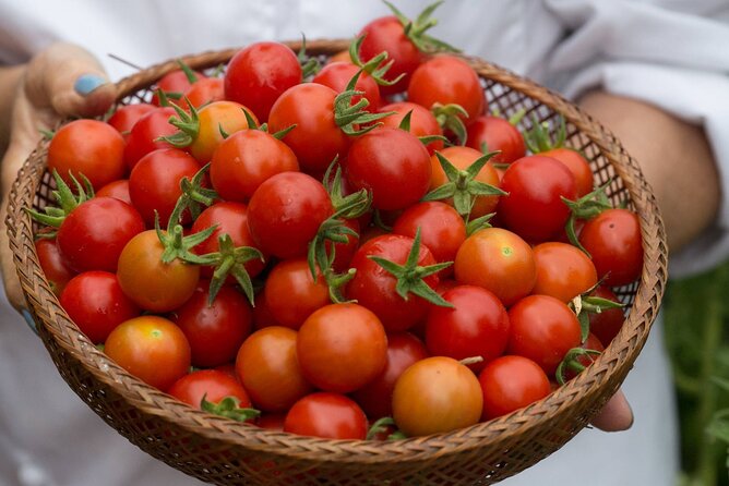 Cook a Greek Feast Steps From the Acropolis (8-Course Meal) - Should you book this Greek Feast Steps From the Acropolis class?