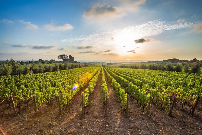 Corinth and Nemea Wine-tasting full day tour from Athens - Food Stops and the Lunch Question (Plan for Extra Spending)