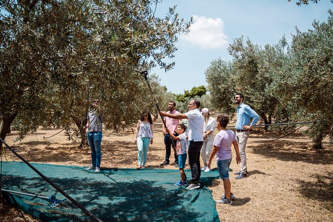 Corinth & Olive Oil Tasting Private Tour from Athens - Corinth Canal: A Quick Stop With Big Photo Payoff