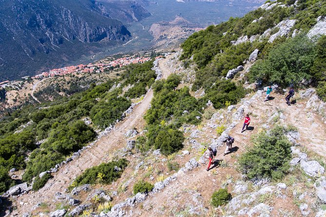 Delphi: Ancient Footpath Delphi Hiking - Key highlights at a glance