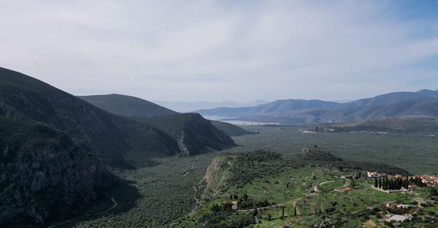Delphi: Easy Hike on Ancient Path through the Olive Groves - The route: Delphi to Chriso on an ancient path that stays easy