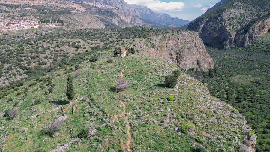 Delphi: Easy Hike on Ancient Path through the Olive Groves - Interactive quests: when myths turn into a game you remember