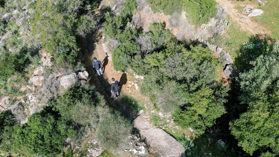 Delphi: Easy Hike on Ancient Path through the Olive Groves - Timing and pace: what 90 minutes to 3 hours actually means