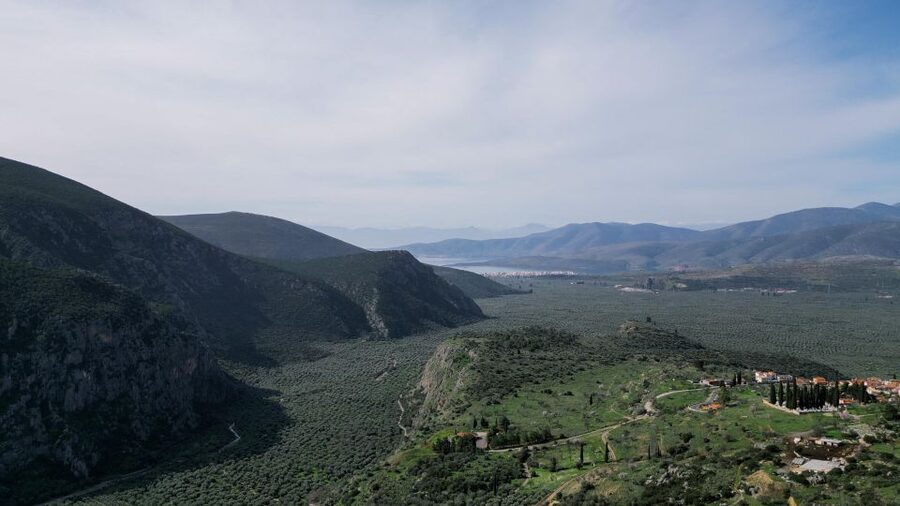 Delphi: Easy Hike on Ancient Path through the Olive Groves - Who should book this Delphi olive groves hike