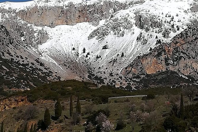 Delphi Full Day Private Tour: Temple of Apollo, Museum, Navel of Earth & Oracle - Drivers, guides, and language: what your “private” day really means
