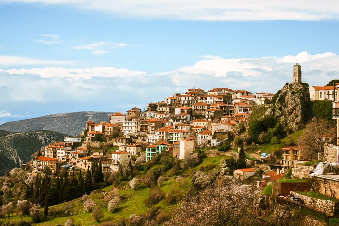Delphi full day V.R audio guided tour with entry ticket - Price and value: what you’re really paying for