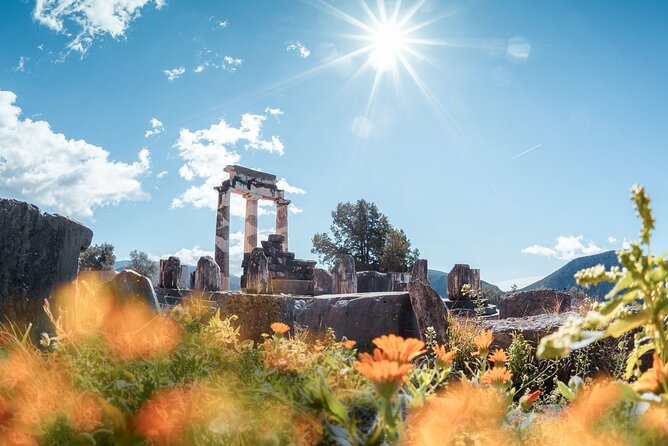 Delphi, Thermopylae, Corycian Cave 300 Spartans Tour - Delphi Without The Pressure: Museum, Temple Sites, And A Book Guide
