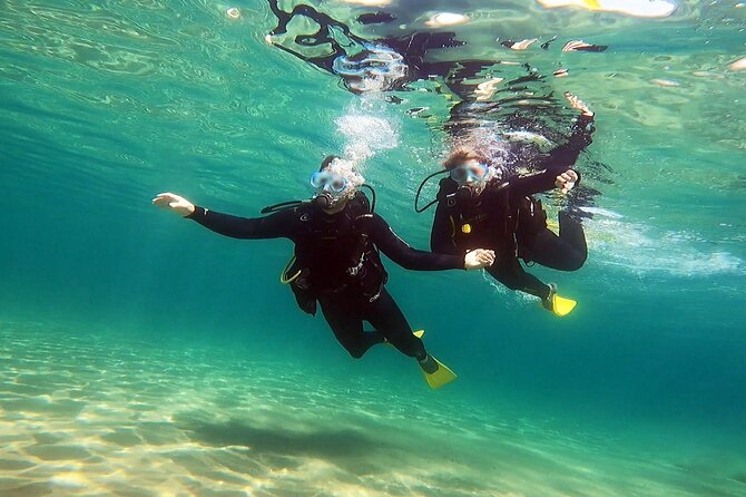 Discover Small Group Scuba Diving Experience in Nea Makri, Athens - The 5–6 Meter Underwater Session: What You’ll See and How to Expect It