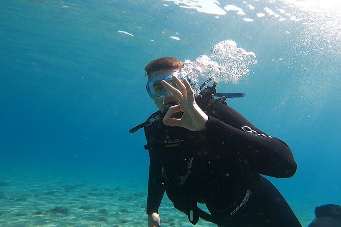 Discover Small Group Scuba Diving Experience in Nea Makri, Athens - Who This Nea Makri Session Fits Best
