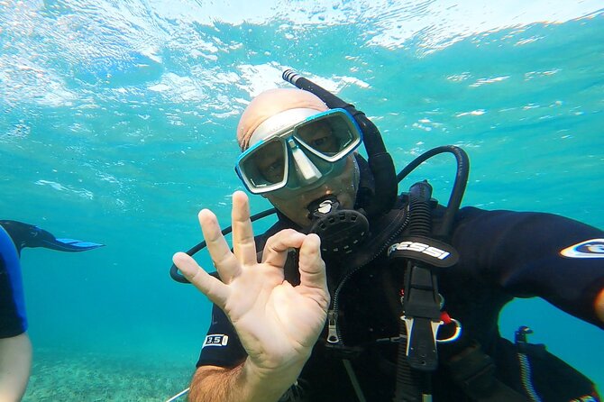 Discover Small Group Scuba Diving Experience in Nea Makri, Athens - Schinias Beach: The Beginner-Friendly Shore Setup Outside Athens