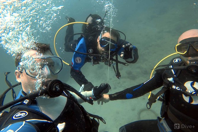 Double Shore Dive (certified divers) - Getting the most from a short 35-minute session