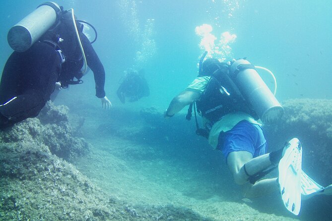 Double Shore Dive (certified divers) - FAQ