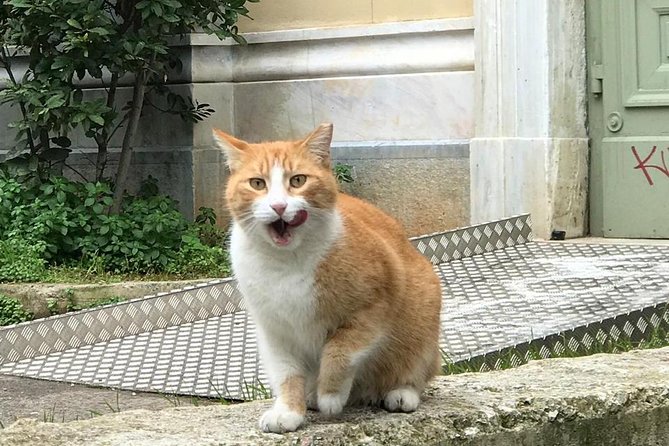 Exarcheia walking tour: The other side of Athens - Who this tour suits best