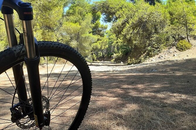 From Athens: Aegina Island E-bike & Walking Day Tour - Athens to Piraeus to Aegina: a ferry ride you’ll actually enjoy