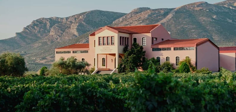 From Athens: Ancient Sparta and Nemea Wine Country Day Trip - Lunch, Snacks, and What to Budget for Food