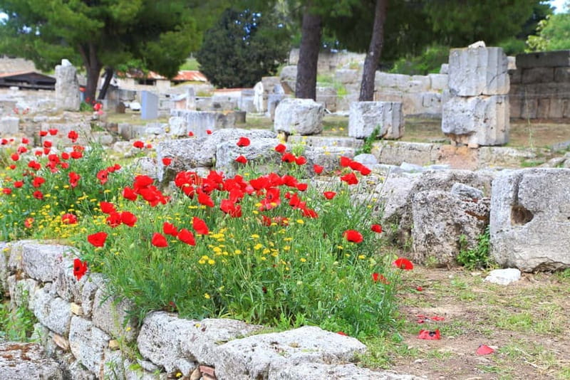 From Athens: Explore Ancient Corinth & Charming Nafplion - Who should book this day trip, and who might want a different plan