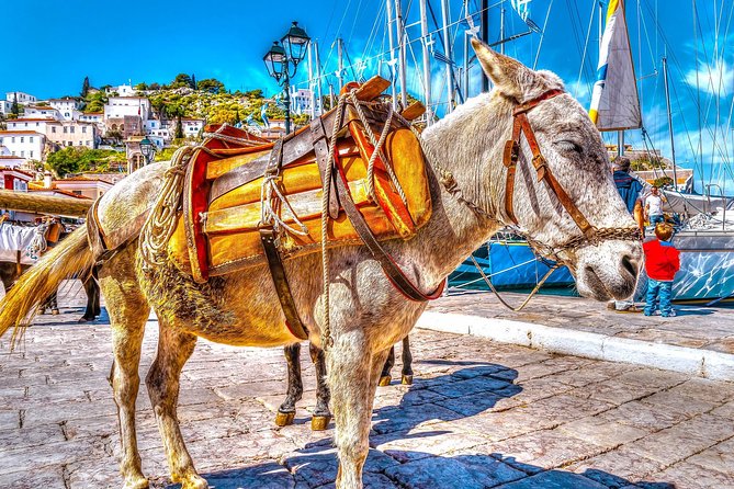 From Athens: Hydra, Poros, and Aegina Day Cruise with Lunch - From Athens to the Saronic Gulf in one shot