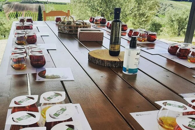 From Athens: Olive Oil Tasting, Olive Grove & Wine Experience - Wine tasting and snacks: what’s included and what you may want to clarify