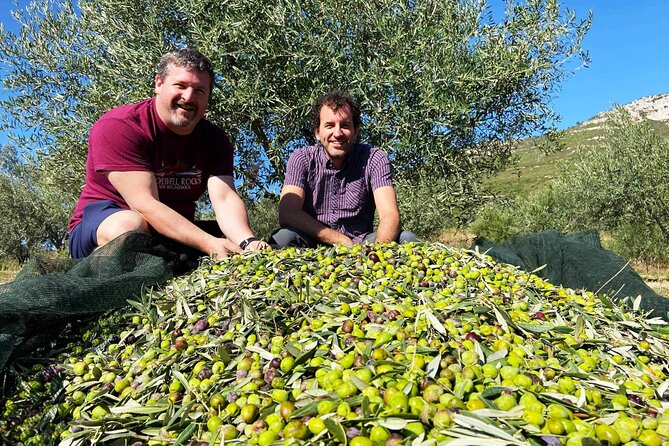 From Athens: Olive Oil Tasting, Olive Grove & Wine Experience - Taking olive oil home: how to shop after the tasting