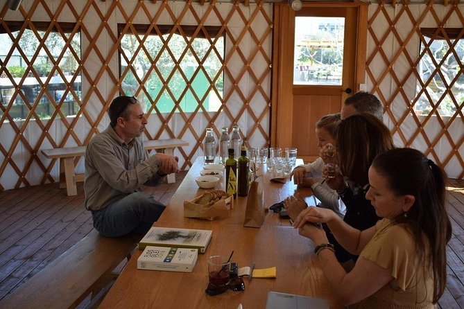 From Athens: Olive Oil Tasting, Olive Grove & Wine Experience - Who this olive oil tour suits best (and who should skip it)