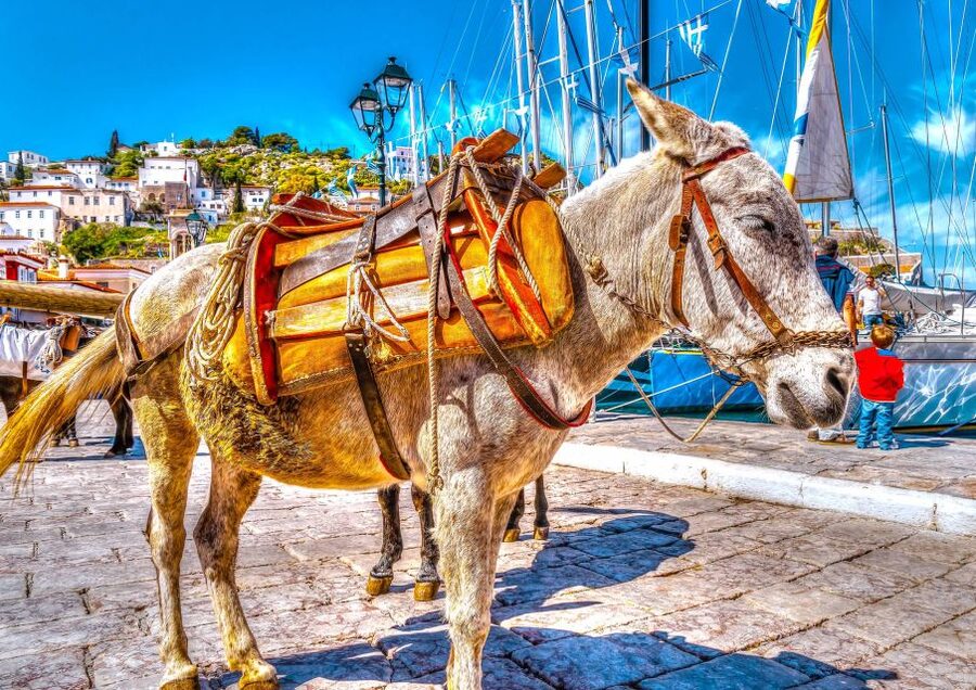 From Athens: Saronic Islands Full-Day Cruise with VIP Seats - Small Snags to Plan For: Pacing, Outdoor Space, and Island Guide Coverage