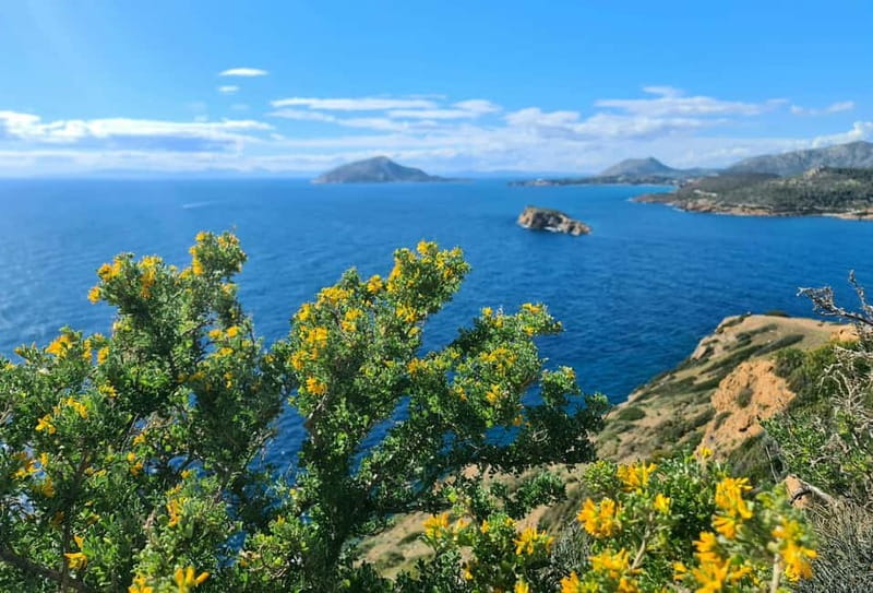 From Athens: Temple of Poseidon & Cape Sounion Half-Day Tour - Entering the archaeological site: what your hour is really for