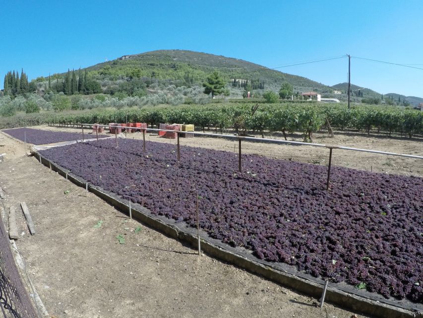 From Athens: Wine, Oil, & Cheese Tasting in Nemea & Argolis - Corinth Canal at sunset: the short stop with the big photo payoff
