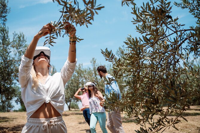 Full-Day Private Tour Corinth and Olive Oil Tasting from Athens - Transportation, Timing, and What You’re Paying For