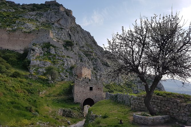 Full day tour Ancient Corinth with wine or olive oil tasting - Food, Water, and What’s Included vs Not Included