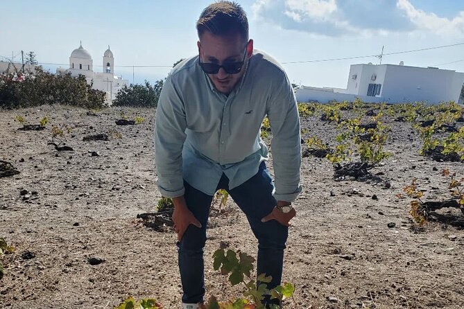 Greece Wine Roads: Athens, Nemea and Santorini - The sunset wine circuit: dry-field learning, volcanic vineyards, and patio pours