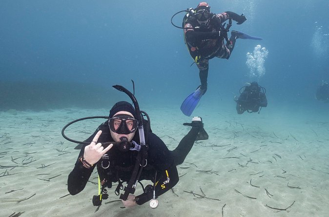 Guided SCUBA Diving for Certified Divers in Athens - Price and value: what $108.14 gets you in real terms