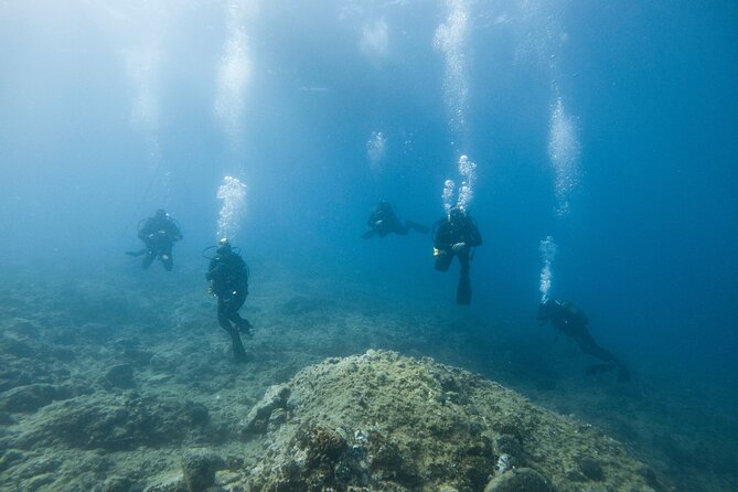 Guided SCUBA Diving for Certified Divers in Athens - Who this is best for (and who should rethink it)