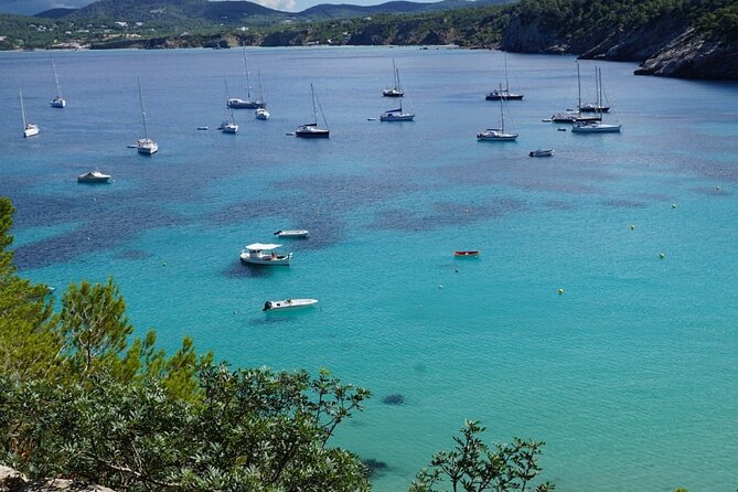 Half-Day Private Swimming Cruise along the Athenian Riviera - Price and value: who this private cruise makes the most sense for