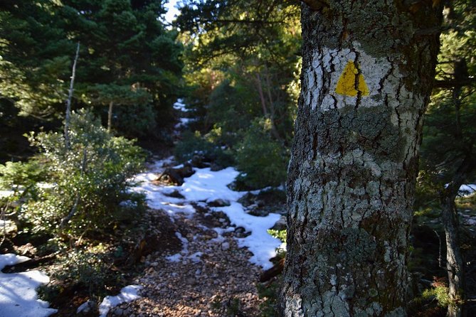 Hiking in Parnitha National Park Overlooking Athens - Mt. Parnitha National Park: Athens’ 40 km nature escape