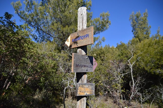 Hiking in Parnitha National Park Overlooking Athens - Getting there with an executive sedan or minivan