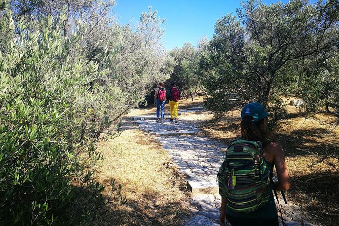 Hills Of Athens Walking Tour - Key Highlights to Know Before You Go