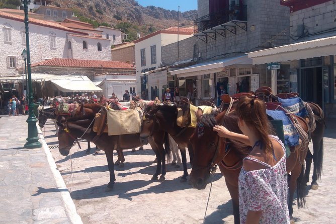 Hydra Island Day Tour with your Private Guide in the Most Cosmopolitan Island - Your Hydra Game Plan: Museums, Monastery Views, and a Lunch Break