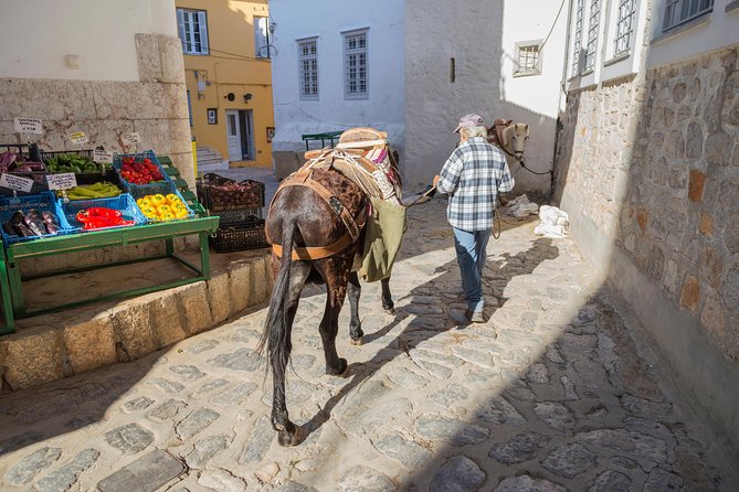 Hydra, Poros and Egina Day Cruise from Athens with Optional VIP Upgrade - The onboard vibe: escorts, Wi-Fi in VIP, and the return show