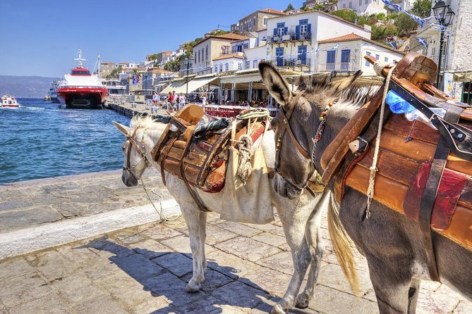 Hydra Private Day Trip by Ferry from Athens with Transfers - Beaches and Secluded Bays: How to Choose Your Swim Plan