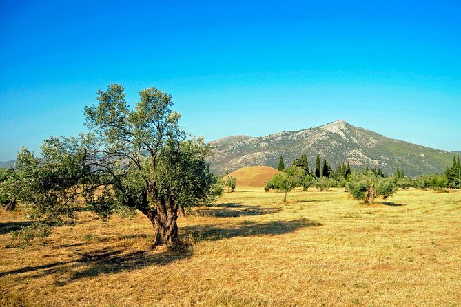 Marathon, Thermopylae, Thebes/Plataea, Herodotus Private Tour 10h - Thebes Museum and Plataea: shifting from legend to evidence
