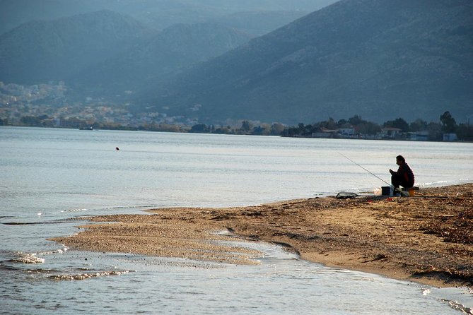 Marathon, Thermopylae, Thebes/Plataea, Herodotus Private Tour 10h - Who should book this day (and who might prefer something else)