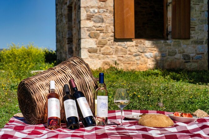 Nemea Wine Tasting & Nafplio Full-Day Private Tour from Athens - Optional Ancient Nemea: Zeus, athletics, and the Nemean Games vibe