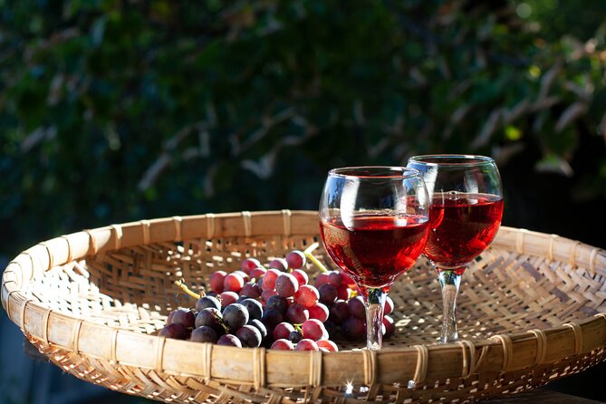 Nemea Wine Tasting & Nafplio Full-Day Private Tour from Athens - Pickup, Mercedes comfort, and the timing that keeps you sane